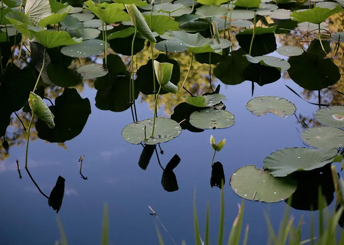 Relais La Foleia - Luxury Villa With Private Lake