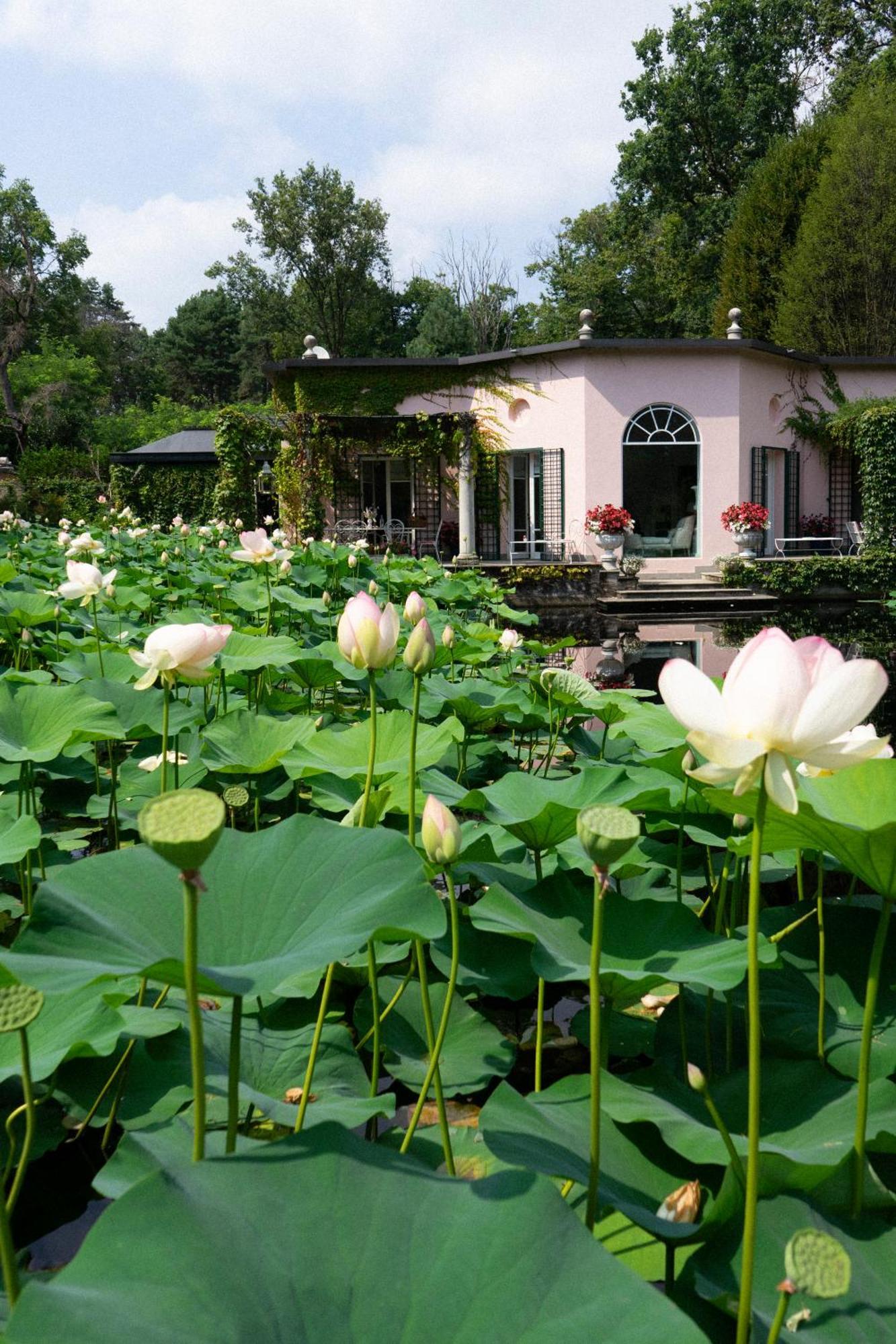 Villa Relais La Foleia - Luxury With Private