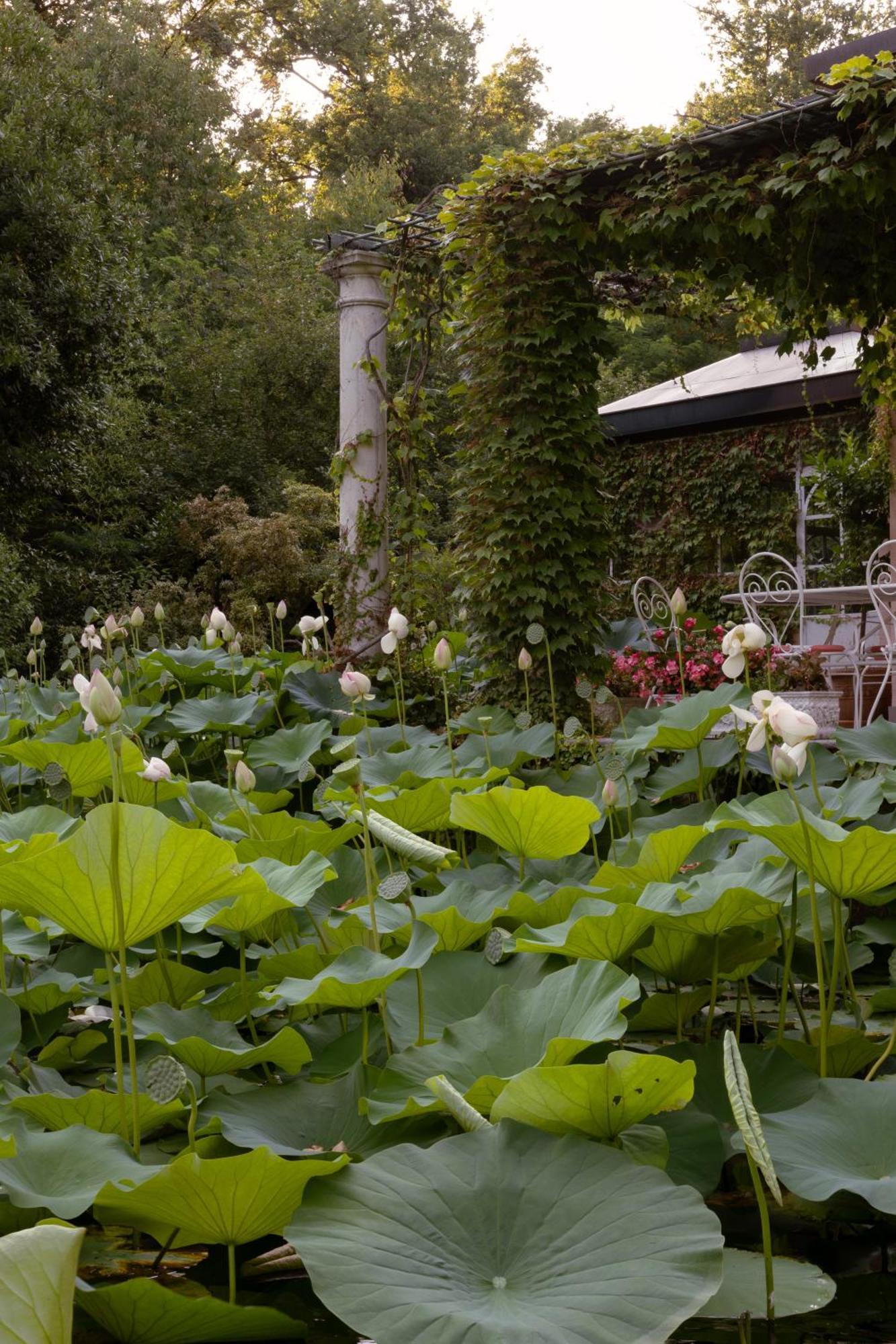 Relais La Foleia - Luxury With Private